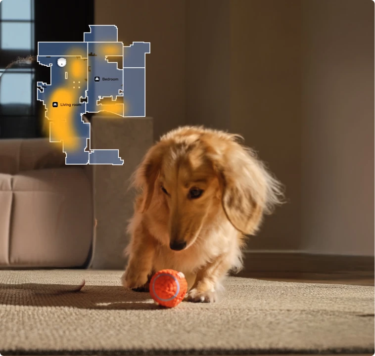 Il robot aspirapolvere Dreame Matrix10 Pro Nero rileva le zone di attività degli animali, pulizia mirata nelle aree più frequentate dall'animale.