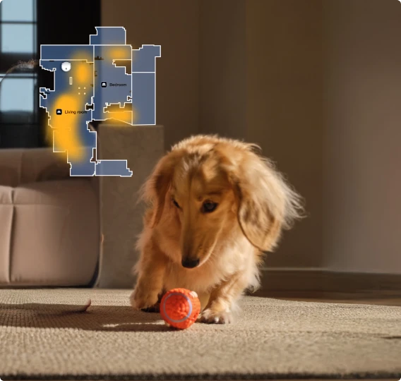 Il robot aspirapolvere Dreame Matrix10 Pro Bianco rileva le zone di attività degli animali, pulizia mirata nelle aree più frequentate dall'animale.