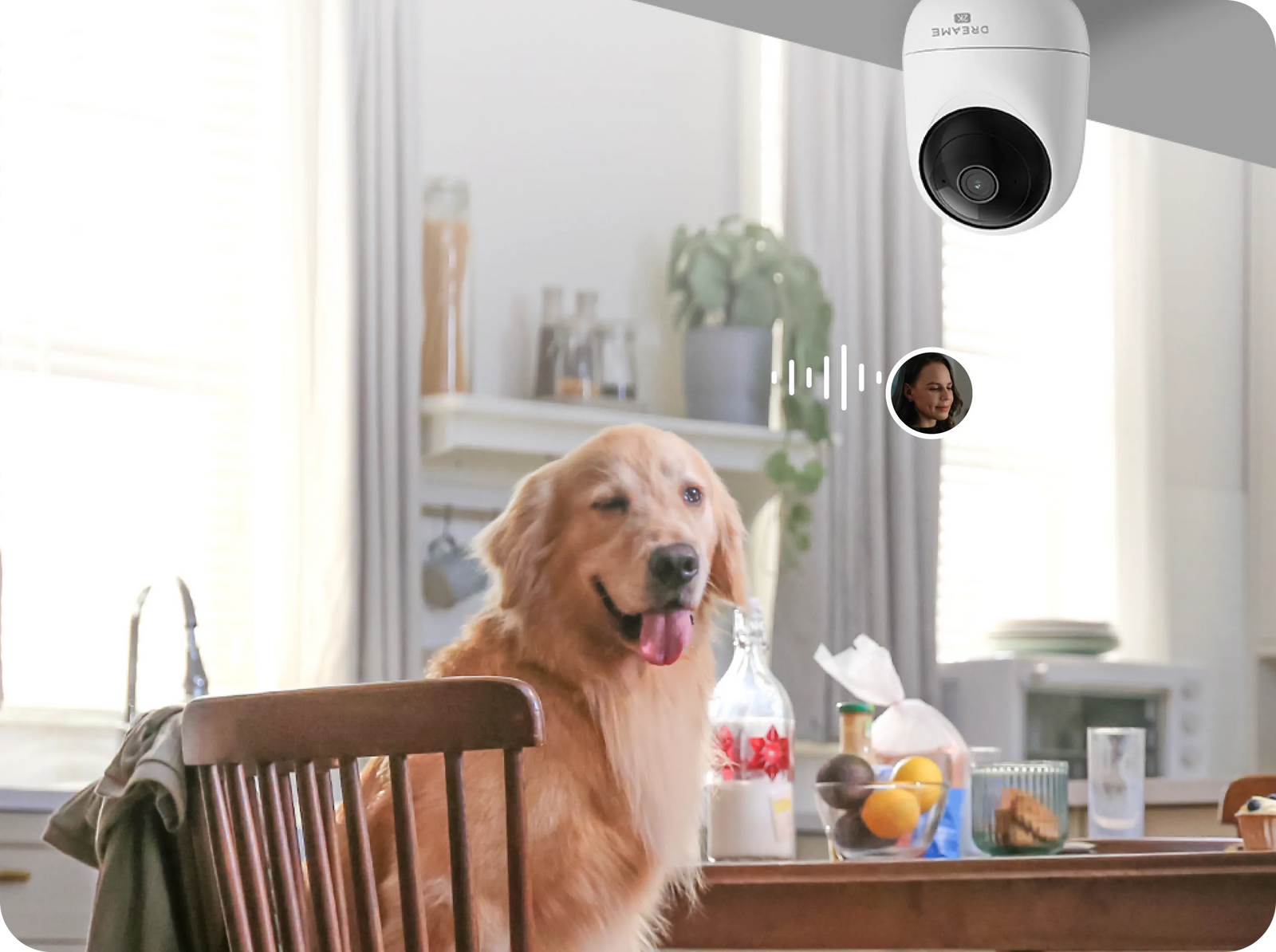 Dreame NAVO Care 1 InCam in cucina con cane al tavolo e comando vocale a distanza del proprietario via audio bidirezionale