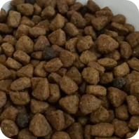 Cibo per animali
